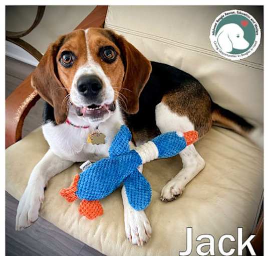 Photo of JACK