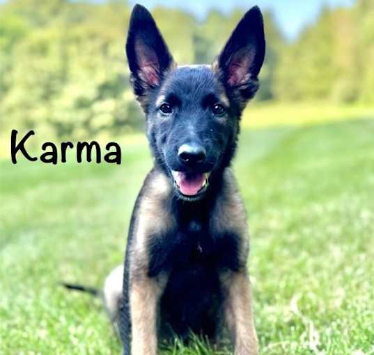 Photo of Karma