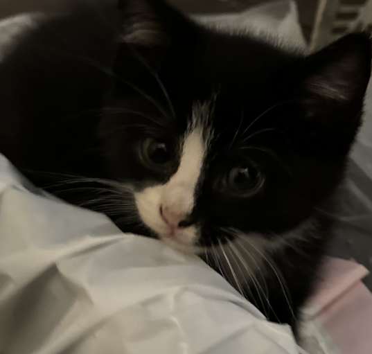 Photo of I Am Lucky!