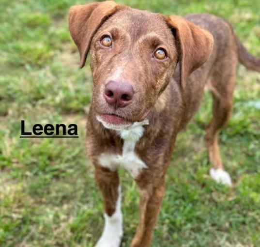 Photo of Leena