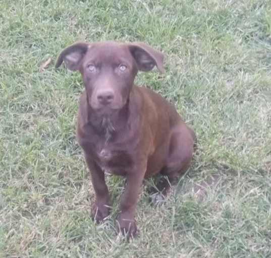 Photo of Sawyer