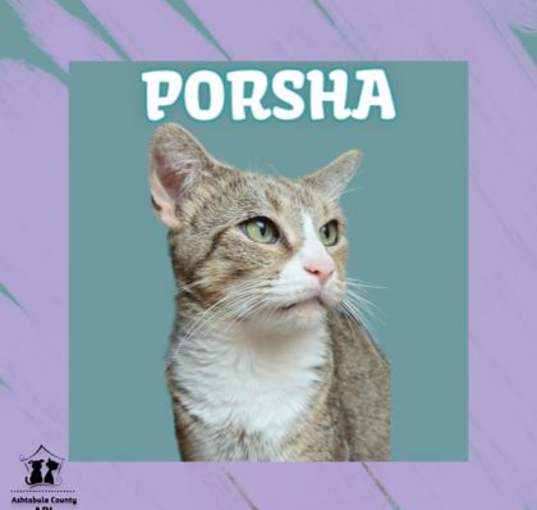 Photo of Porsha