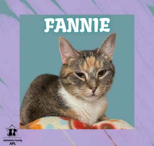 Photo of Fannie