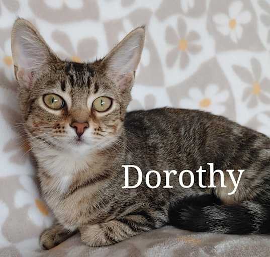 Photo of Dorothy