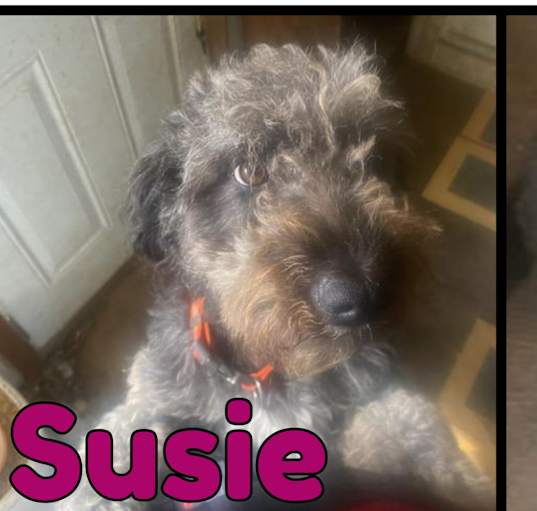 Photo of Susie-COURTESY LISTIING