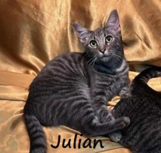 Photo of Julian #brother-of-Collin