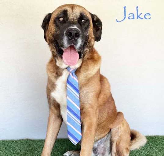 Photo of Jake