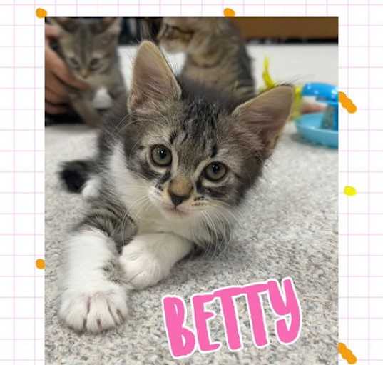 Photo of Betty