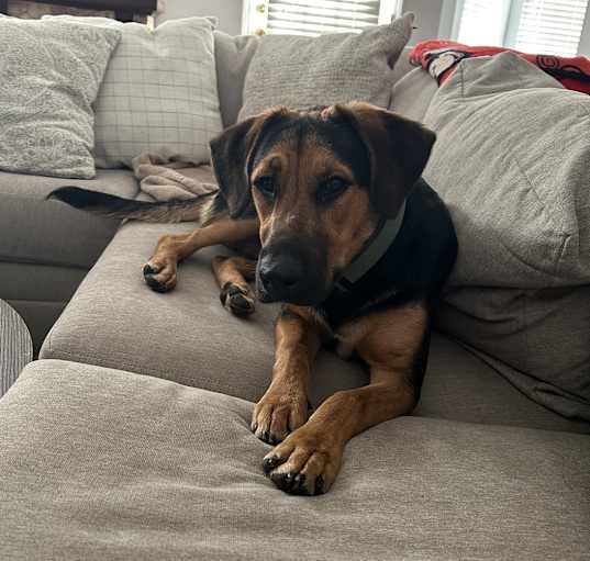 Photo of Kuda