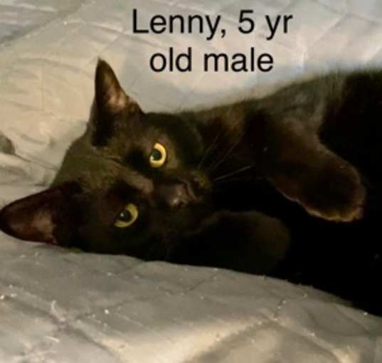 Photo of Lenny