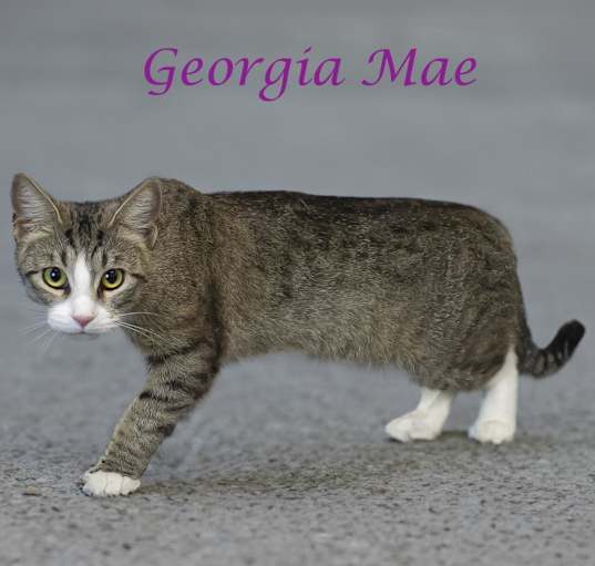 Photo of Georgia Mae C24-228