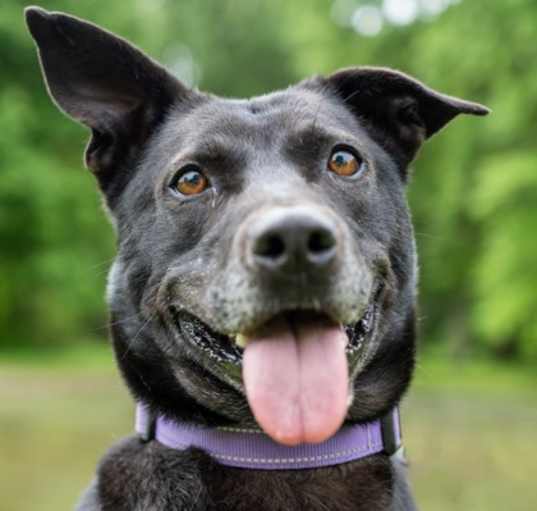 Photo of Mable