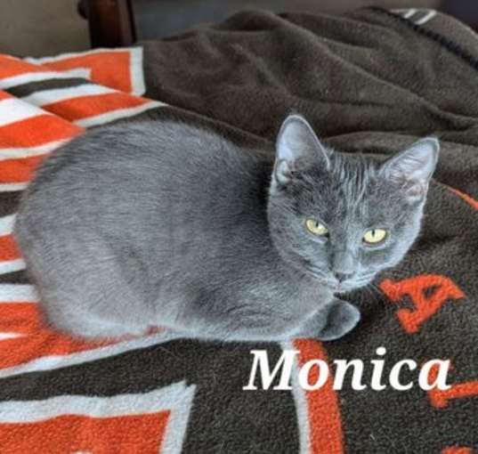 Photo of Monica