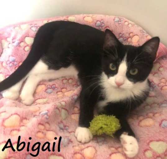 Photo of Abigail #bonded-to-Squeeken