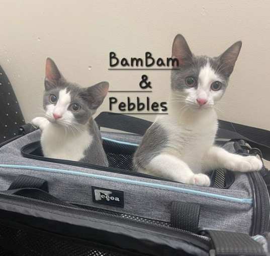 Photo of BamBam & Pebbles #Sisters