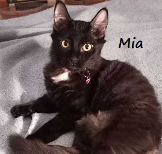 Photo of Mia #sister-of-Niko