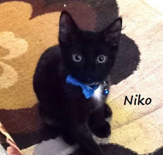 Photo of Niko #brother-of-Mia