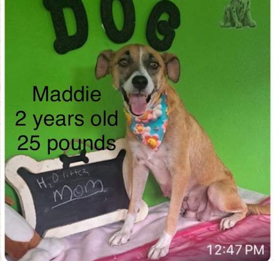 Photo of Maddie