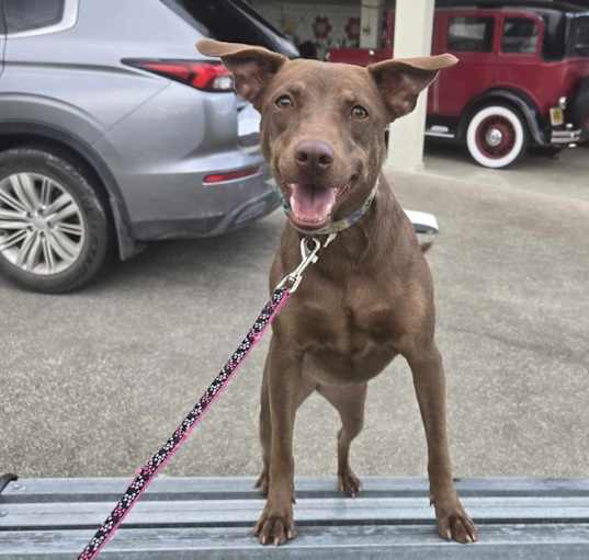 Photo of Cinnamon