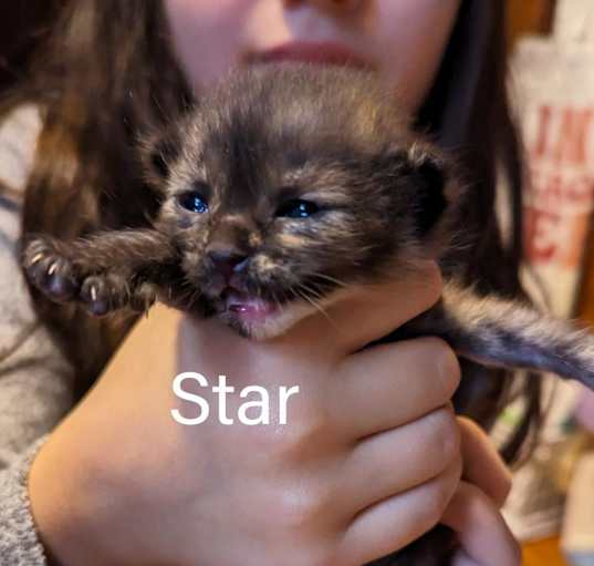 Photo of Star