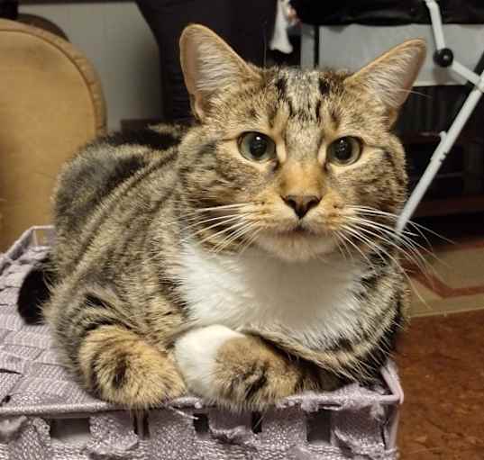 Photo of Chloe