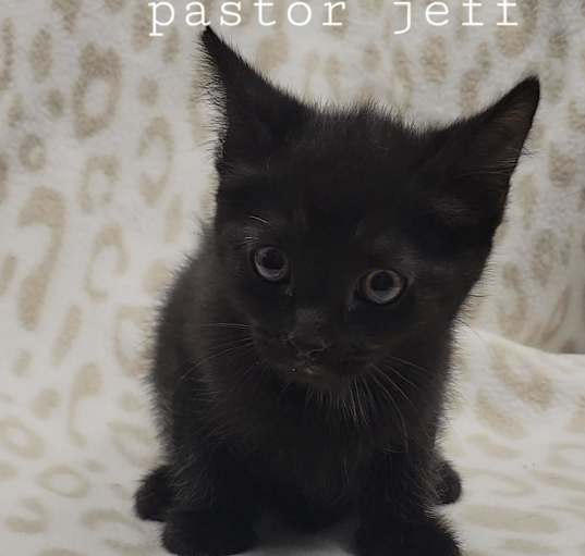 Photo of Pastor Jeff