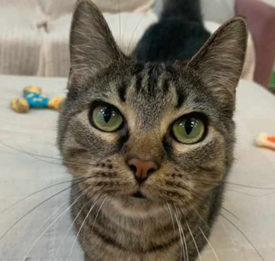 Photo of Elsie