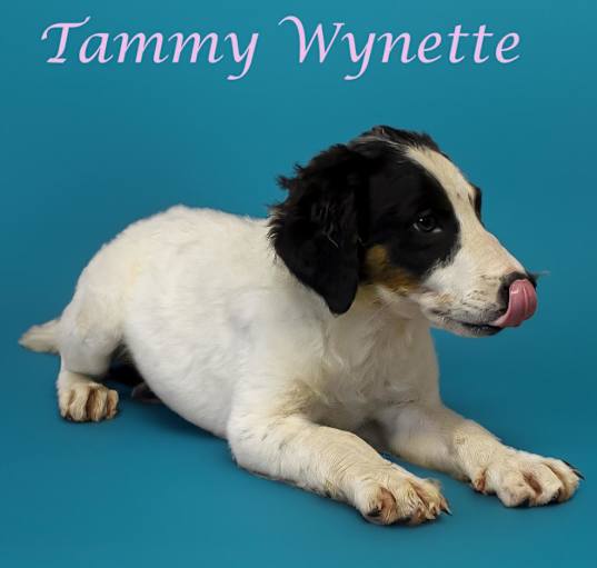 Photo of Tammy Wynette D24-140