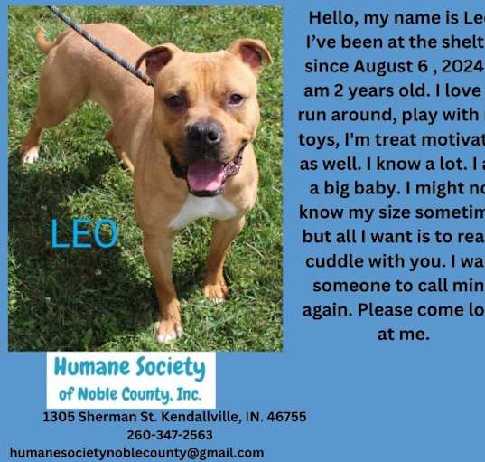 Photo of Leo