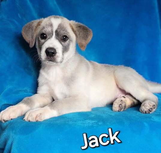 Photo of Jack