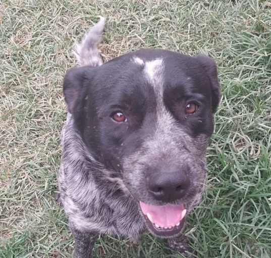 Photo of Handsome
