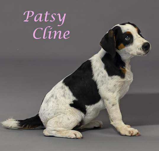 Photo of Patsy Cline D24-142