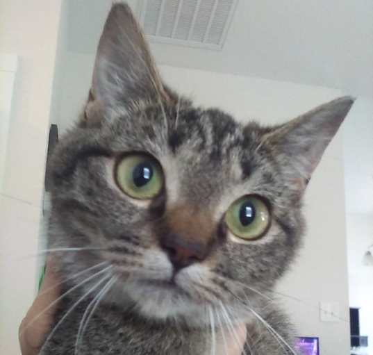 Photo of Gloria