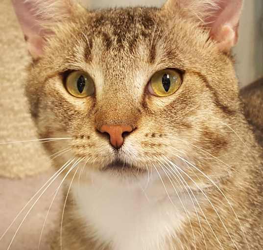 Photo of Sneezy