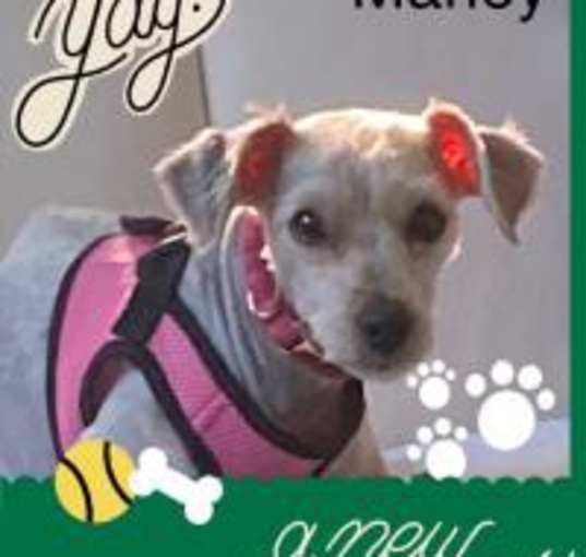 Photo of Marley May