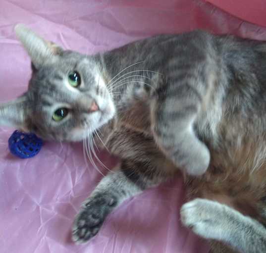 Photo of Mystic