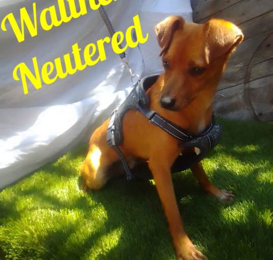 Photo of Walter