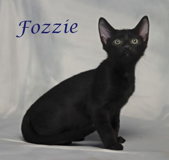 Photo of Fozzie C24-226