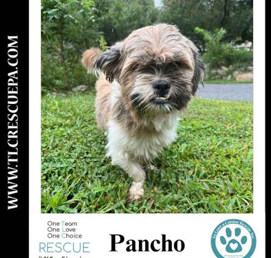 Photo of Pancho 090724