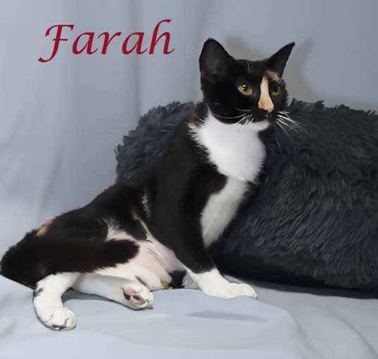 Photo of Farah C24-244