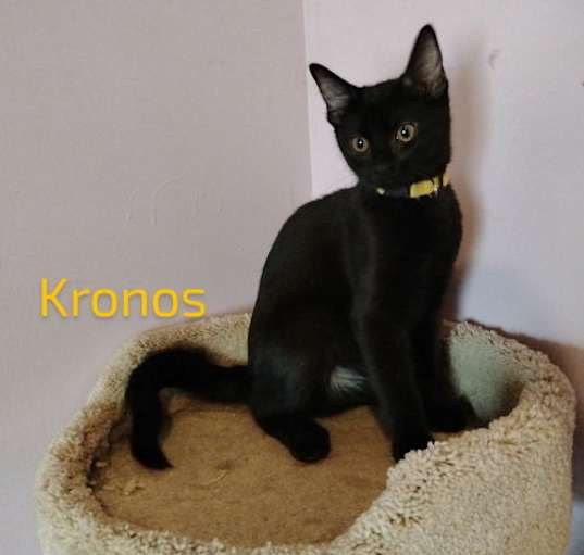 Photo of Kronos