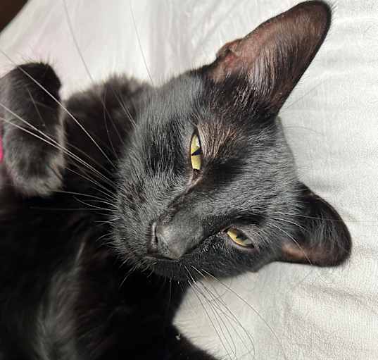 Photo of Mr. Binks