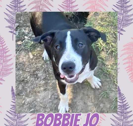 Photo of Bobbie Jo