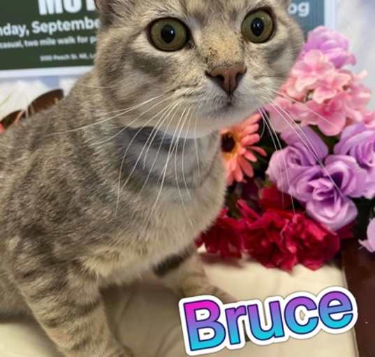 Photo of Bruce