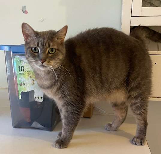 Photo of Mystic