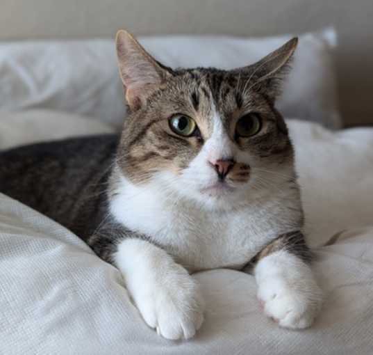 Photo of Johann