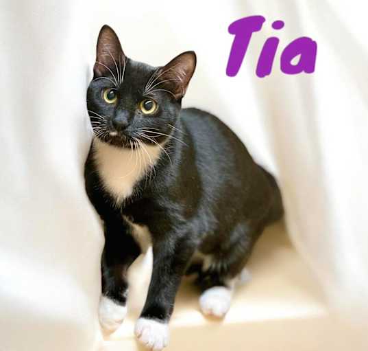 Photo of Tia