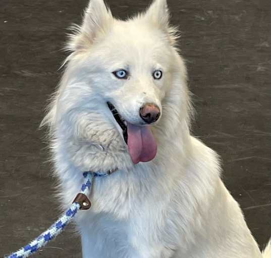 Photo of Kalana