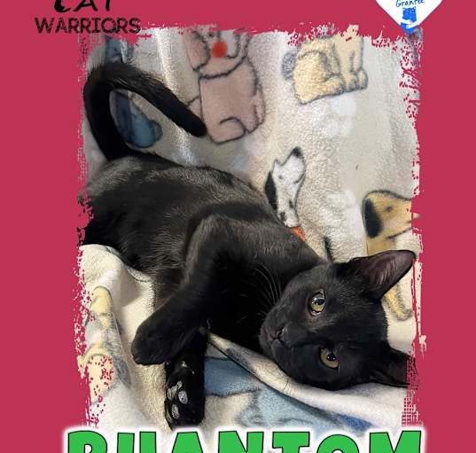 Photo of Phantom