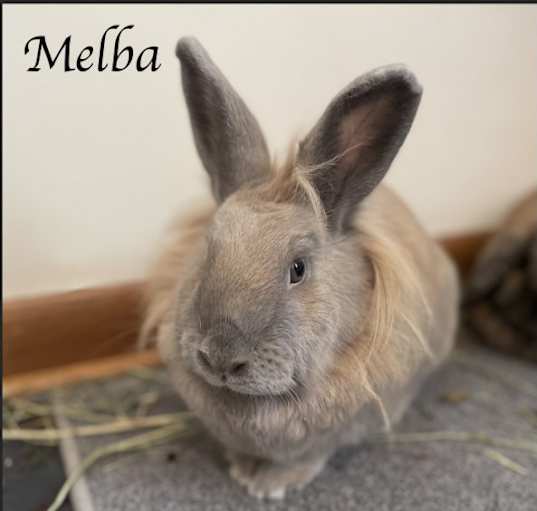 Photo of Melba